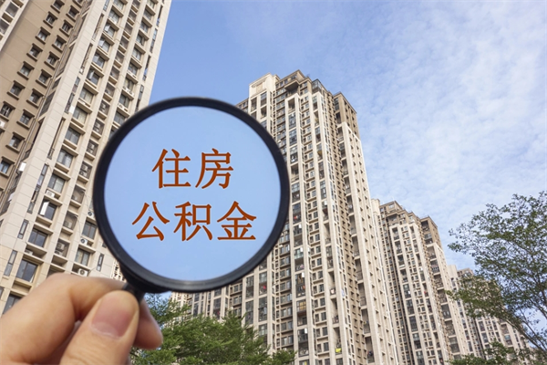 博兴住房封存公积金提（封存的住房公积金提取）